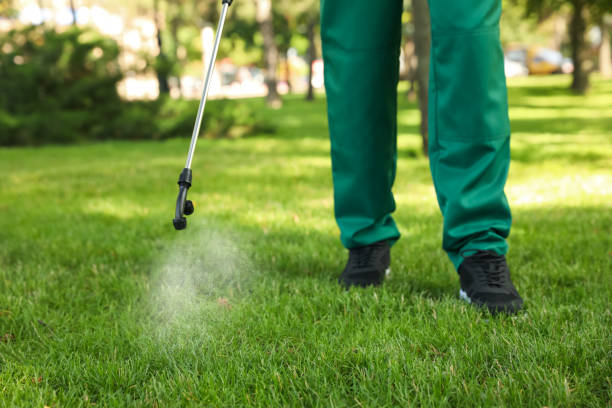 Best Lawn Pest Control  in USA